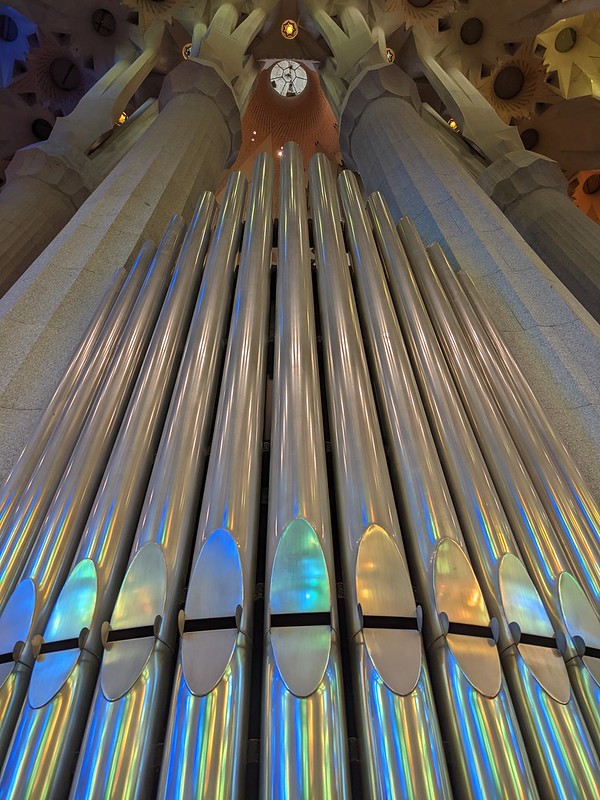 Looking up at the pipes of the organ