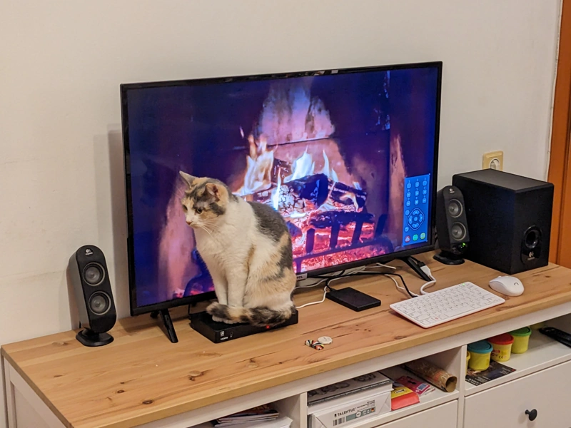 Cat sitting on a router in front of a TV displaying a log fire on the screen