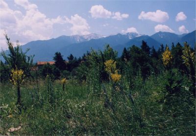 Mountains near Bansko (on road from Blagoevgrad)