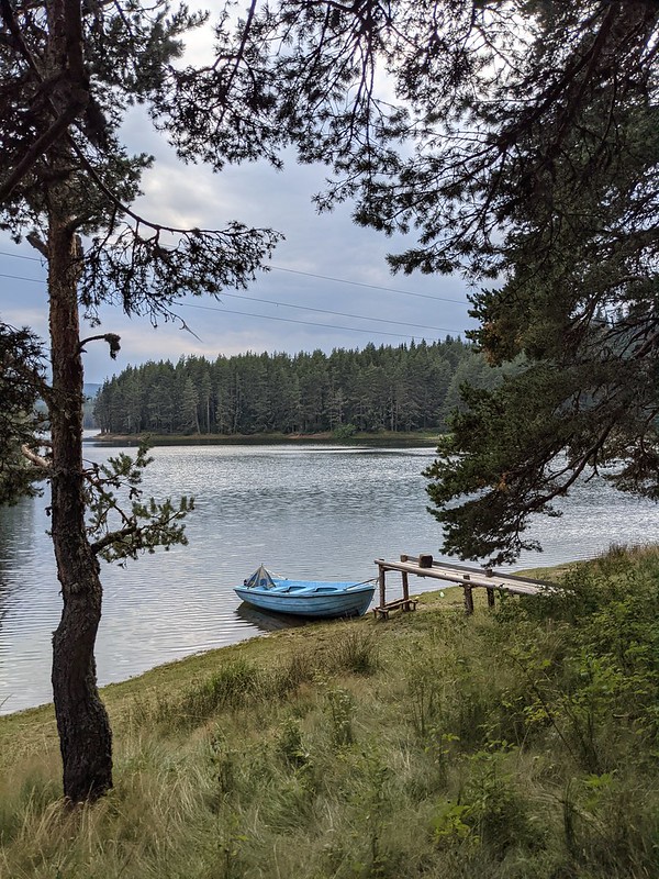 Small blue motorboat moored to a small pier, with pine woods in the background