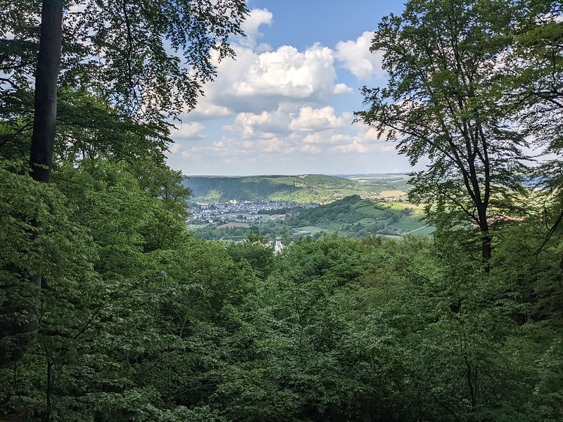 Overlooking the Echternach valley from forest above the lake