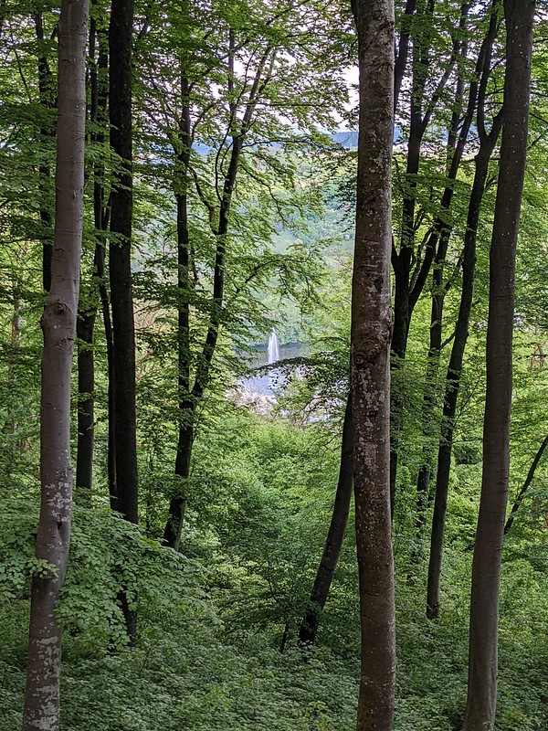 Looking down onto the large fountain in the centre of Echternach lake