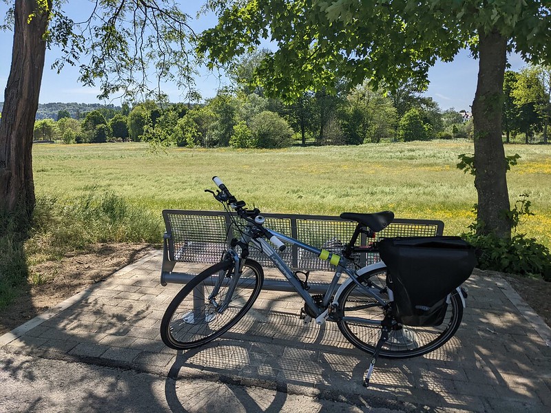 View of sunny fields fields framed by shaded trees to the side and a bike in the foreground 