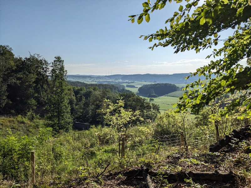 Green valley with wooded hills in the background