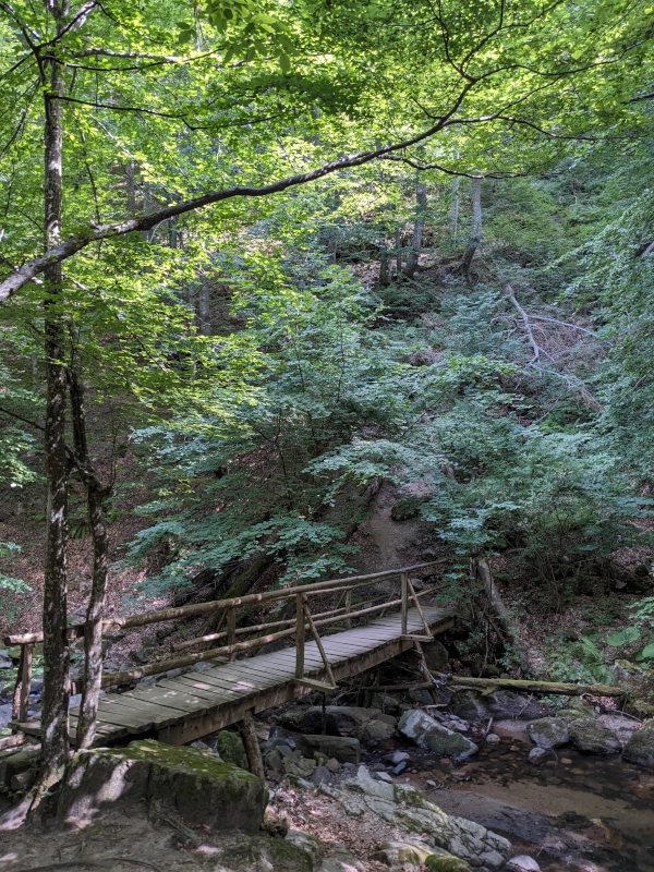 The bridge at the bottom to get to the waterfalls