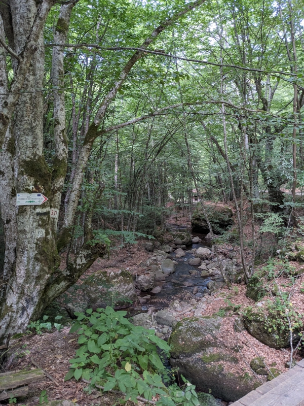 The river flowing into the waterfalls, which the trail follows to get to the falls