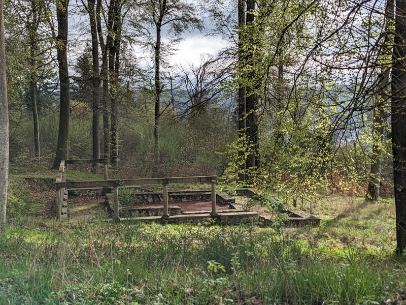 Ruins of a Roman site in a wooded area