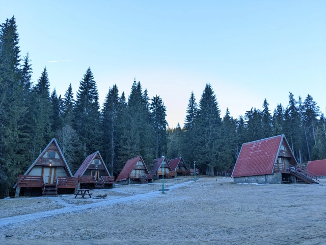 A set of mountain chalets overlooked by tall pine trees behind them and dry grass in the foreground