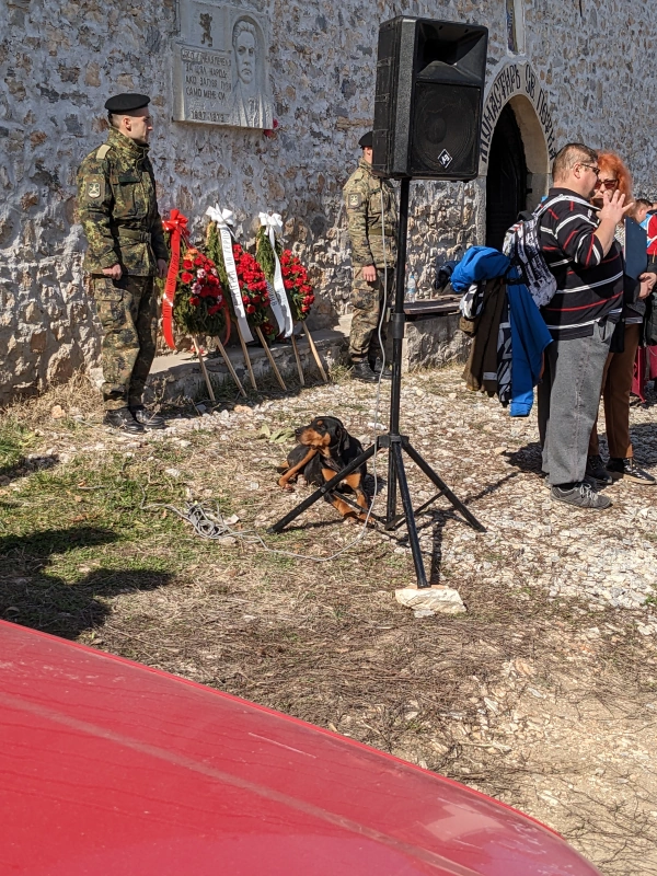 Dog resting in dried grass in front of a monastery