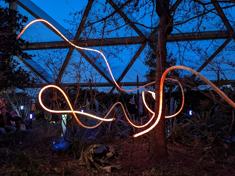 Yellow lights moving a curved and looped line