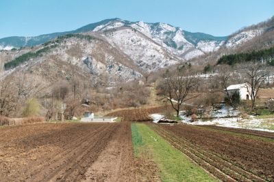 Fields surrounding Bachkovo