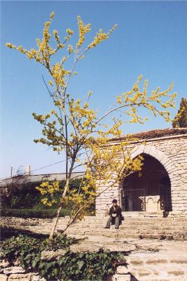 Botanical Gardens of Balchik