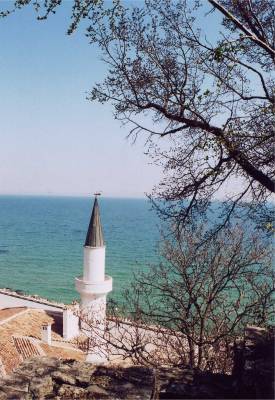 View of mosque from the botanical gardens