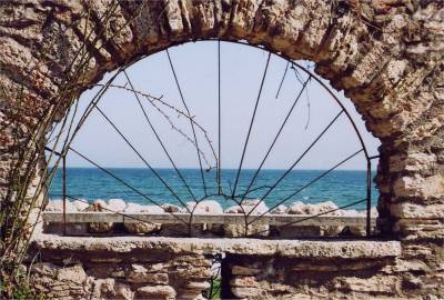 View of sea from botanical gardens