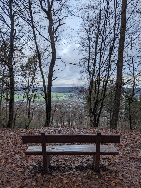 Looking out over the back of a bench, through some trees to the valley beyond