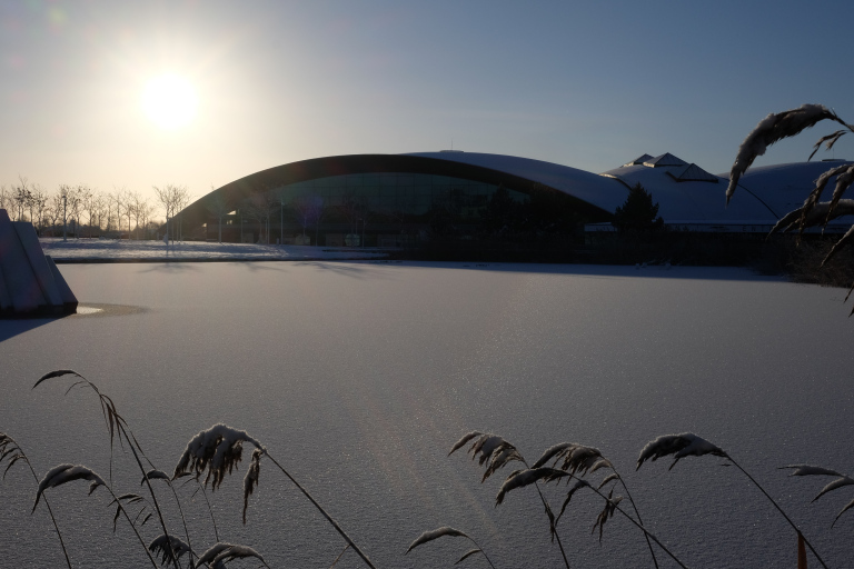 The Coque sports complex