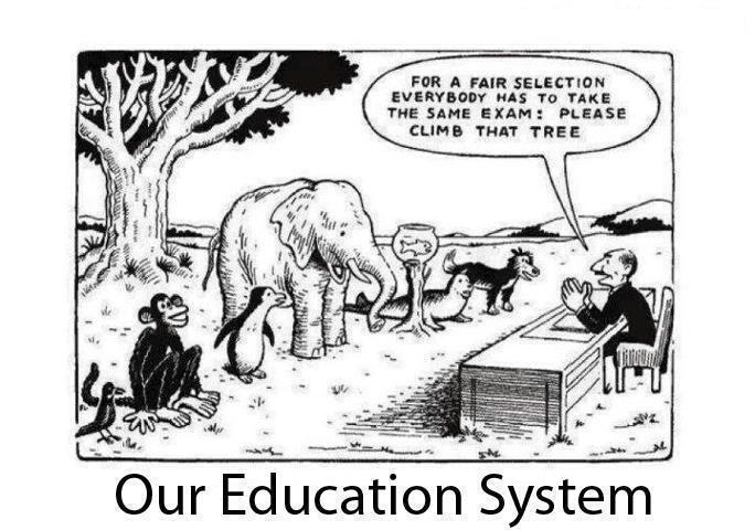 Instructor telling jungle animals including elephant, fish, penguine and monkey to climb a tree for a fair assessment