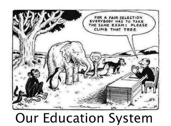 Image showing jungle animals, including a monkey, bird, elephant, fish and hyena, standing in front of an exam invigilator. The invigilator says "For a fair selection everybody has to take the same exam: please climb that tree".