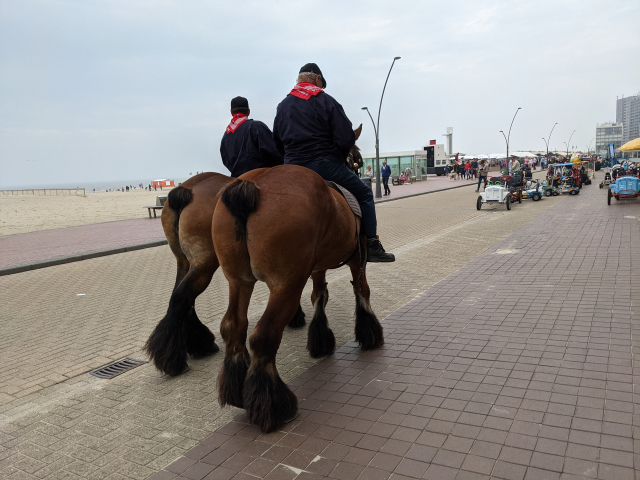 Shrimp fishermen on horseback