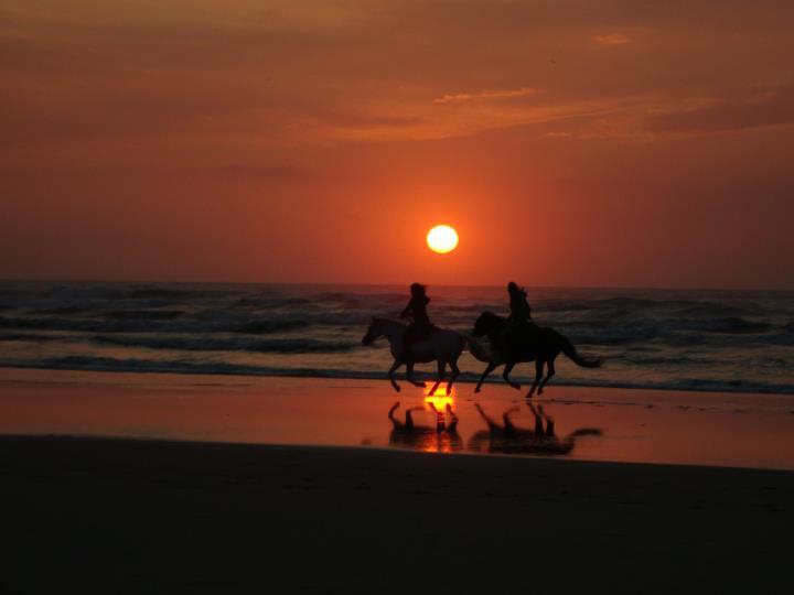 Horseback riders riding along a beach with the sun setting in the background